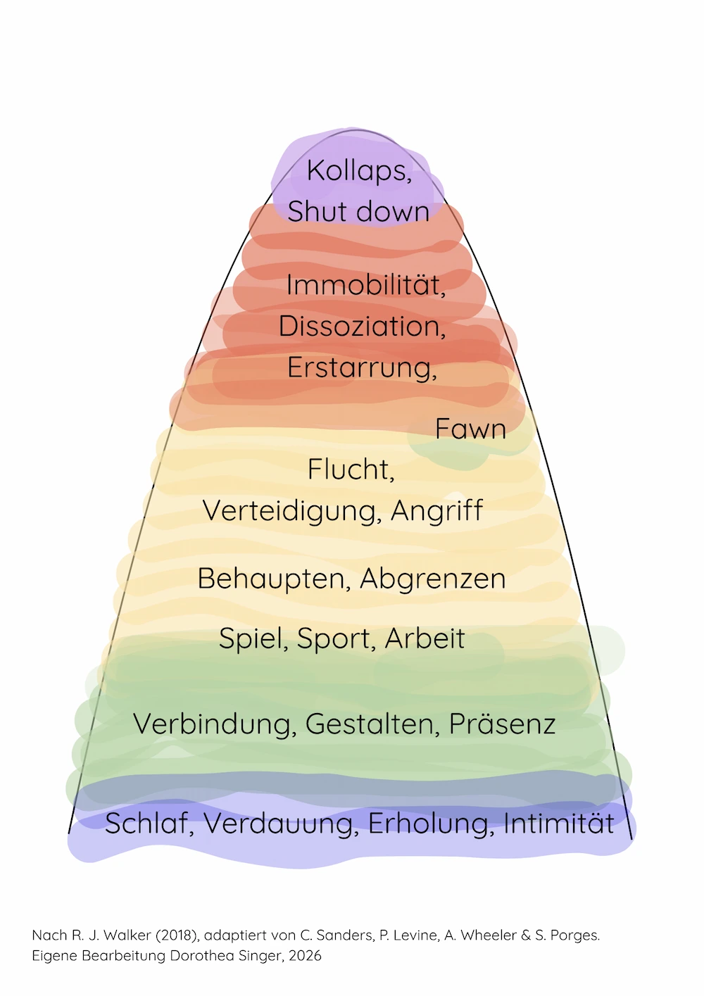Aktivierungskurve: Illustration, wie Aktivierung im Nervensystem von der Grundlinie ansteigt, durch verschiedene Überlebensmodi und im gesunden Fall wieder zur Grundlinie zurückkehrt